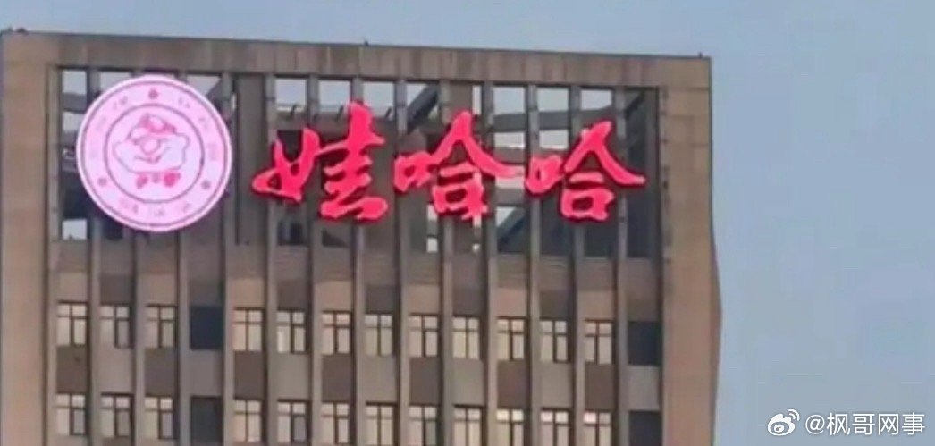 娃哈哈任命许思敏为总经理娃哈哈集团任命许思敏为总经理，董事长职务空缺。10月11