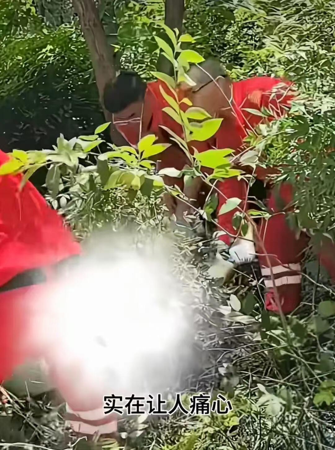 12点多找到背包，下午1点多发现程梦圆的“遗体”！下午2:50分警方和家属已