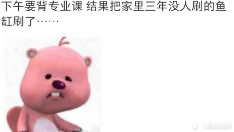 家务从未如此有过的吸引力🤣👌