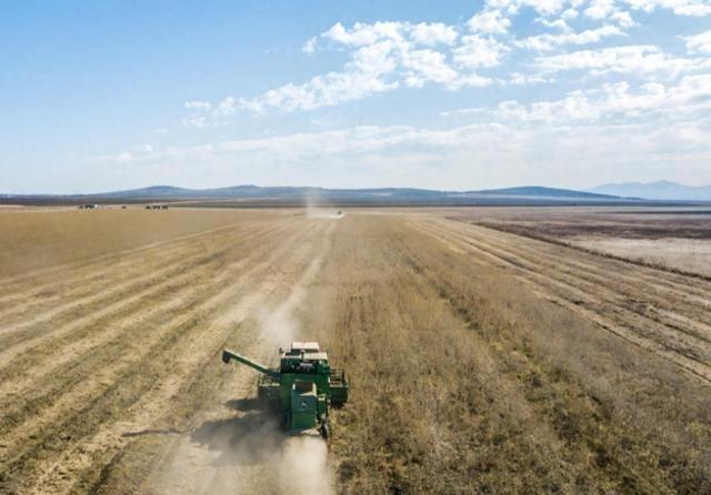 为啥不让俄罗斯供应大豆？中俄只隔一道江，中国却宁和美国撕个痛这两年有个现象挺