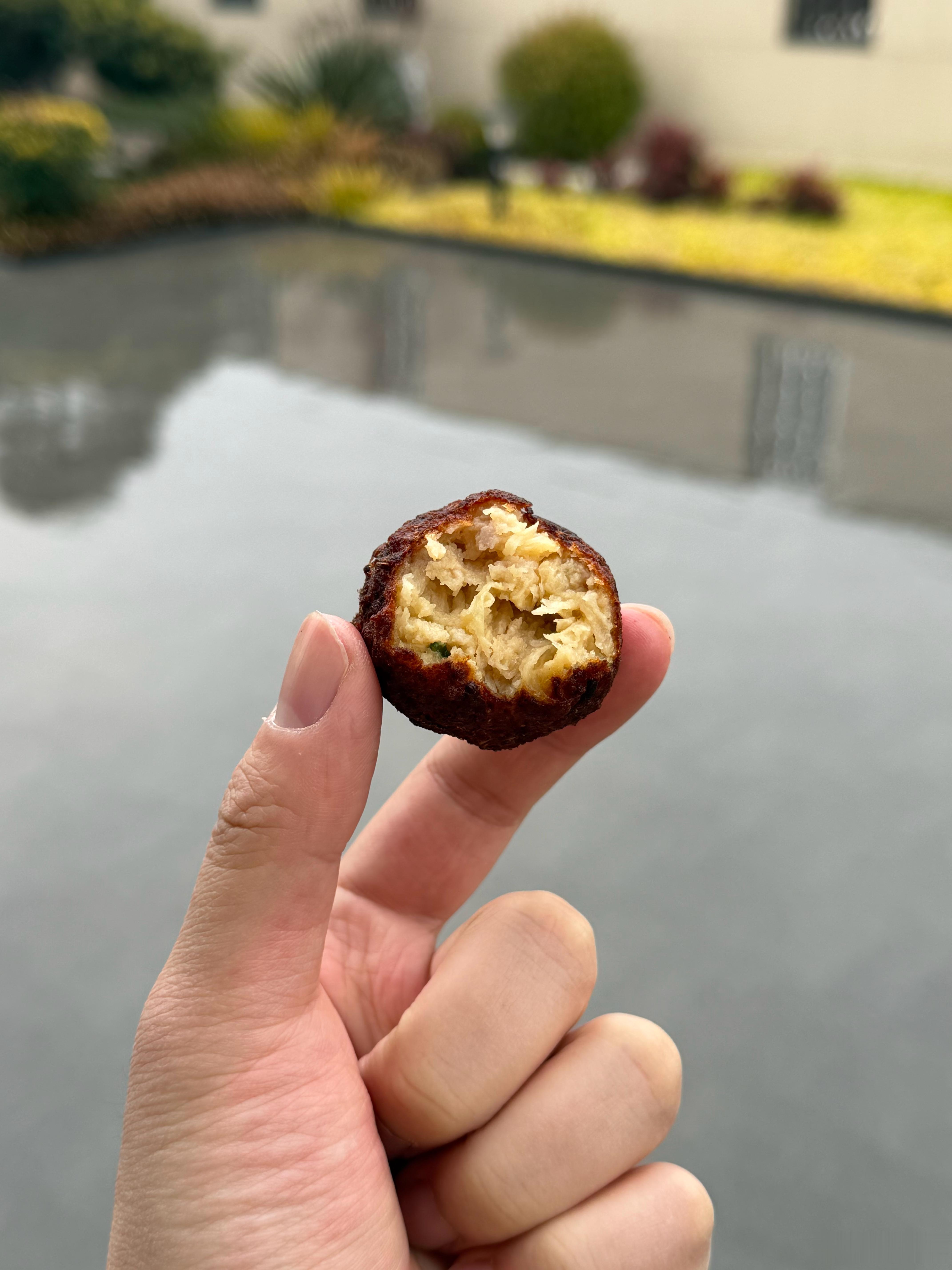 把肉圆炸成巧克力了