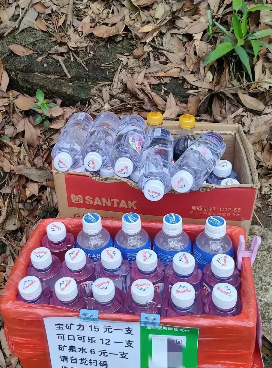 没有去过梧桐山的就不要发言了。我认为在梧桐山上自主卖水是深圳文明的象征及人类的进