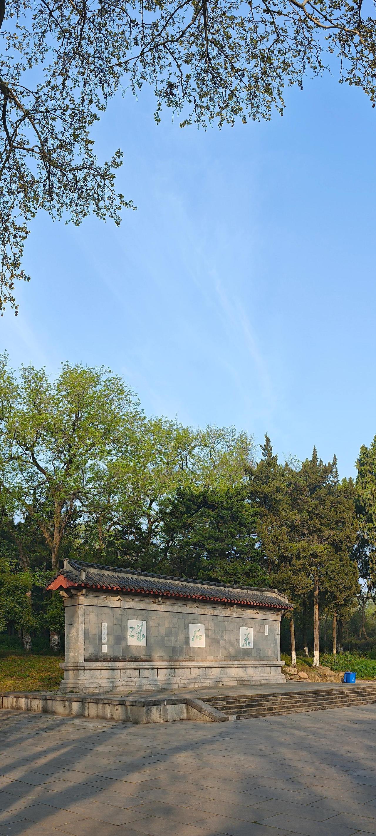 春天和牡丹花海更配最美牡丹花园观赏牡丹花海牡丹花海盛开的牡丹园