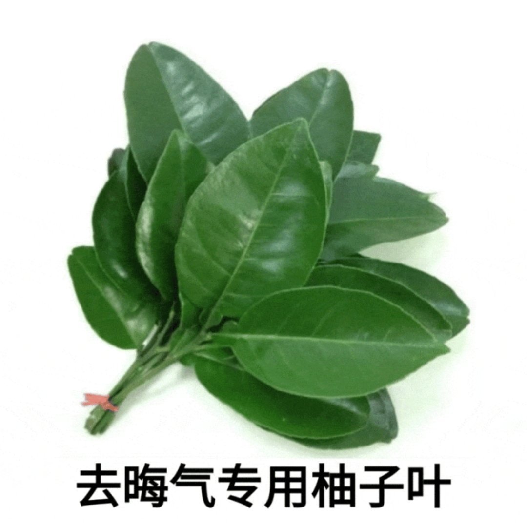 肖战杨紫或再聚首金鹰奖杨紫白玉兰庆功宴，紫粉在力挺视后冲击金鹰奖中，每天都是在幸