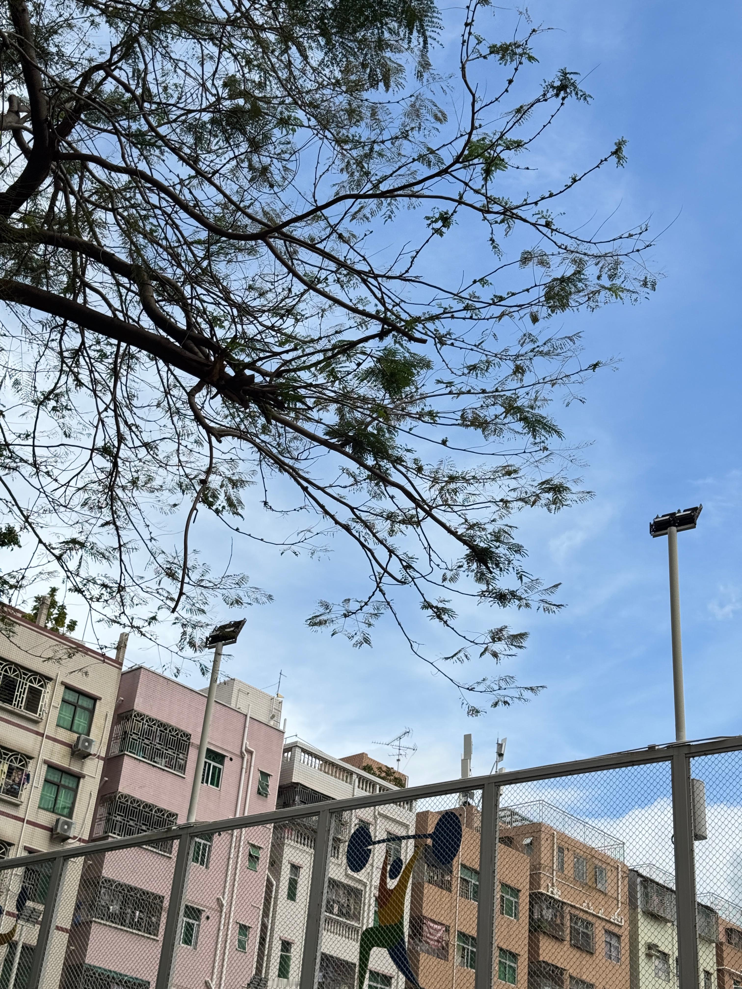 今天出门噜～图4的猫咪真的太好笑了独加记一​​​