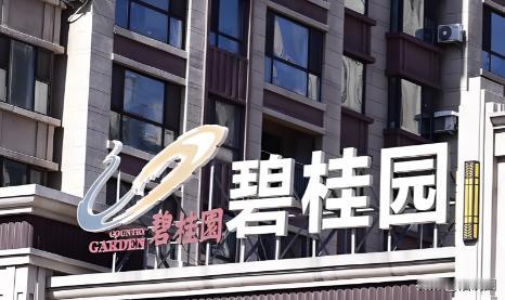 2012年一晚，碧桂园创始人杨国强突然“酒后发疯”，跟高管们说：“兄弟们跟了我