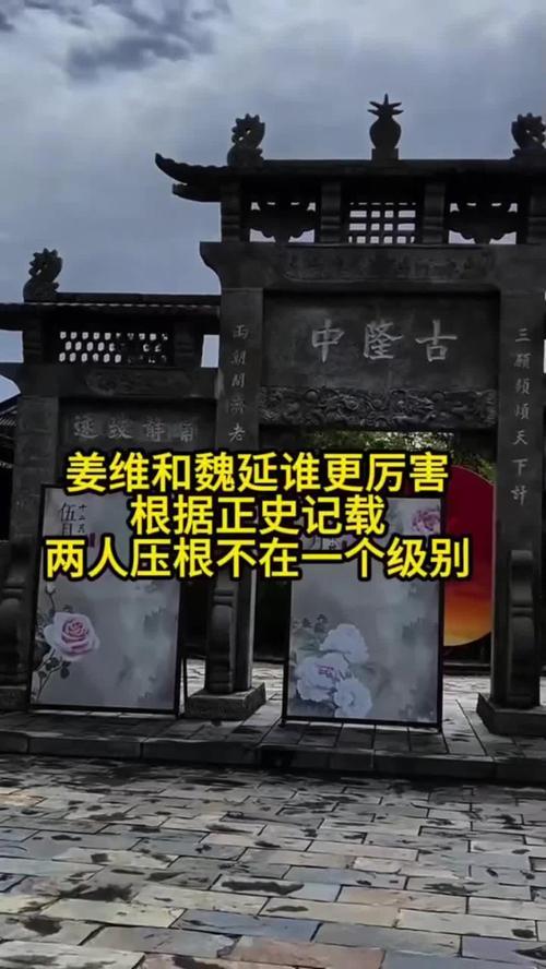 姜维魏延谁更强，正史给出答案，两人压根不在一个段位你们可别被《三国演义》带