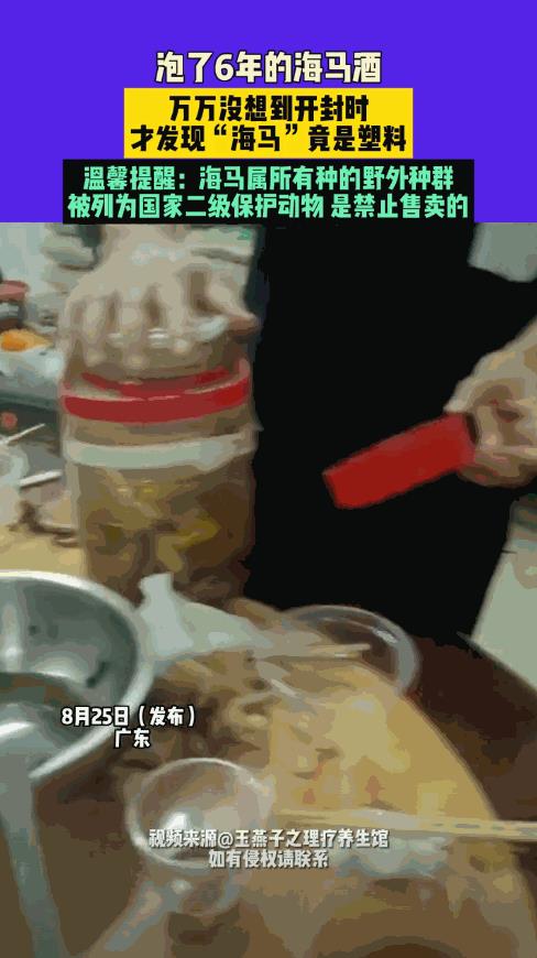 “笑不活了！”8月25日，广东，一男子将泡了6年的海马酒拿出来拆封，没想到，海马