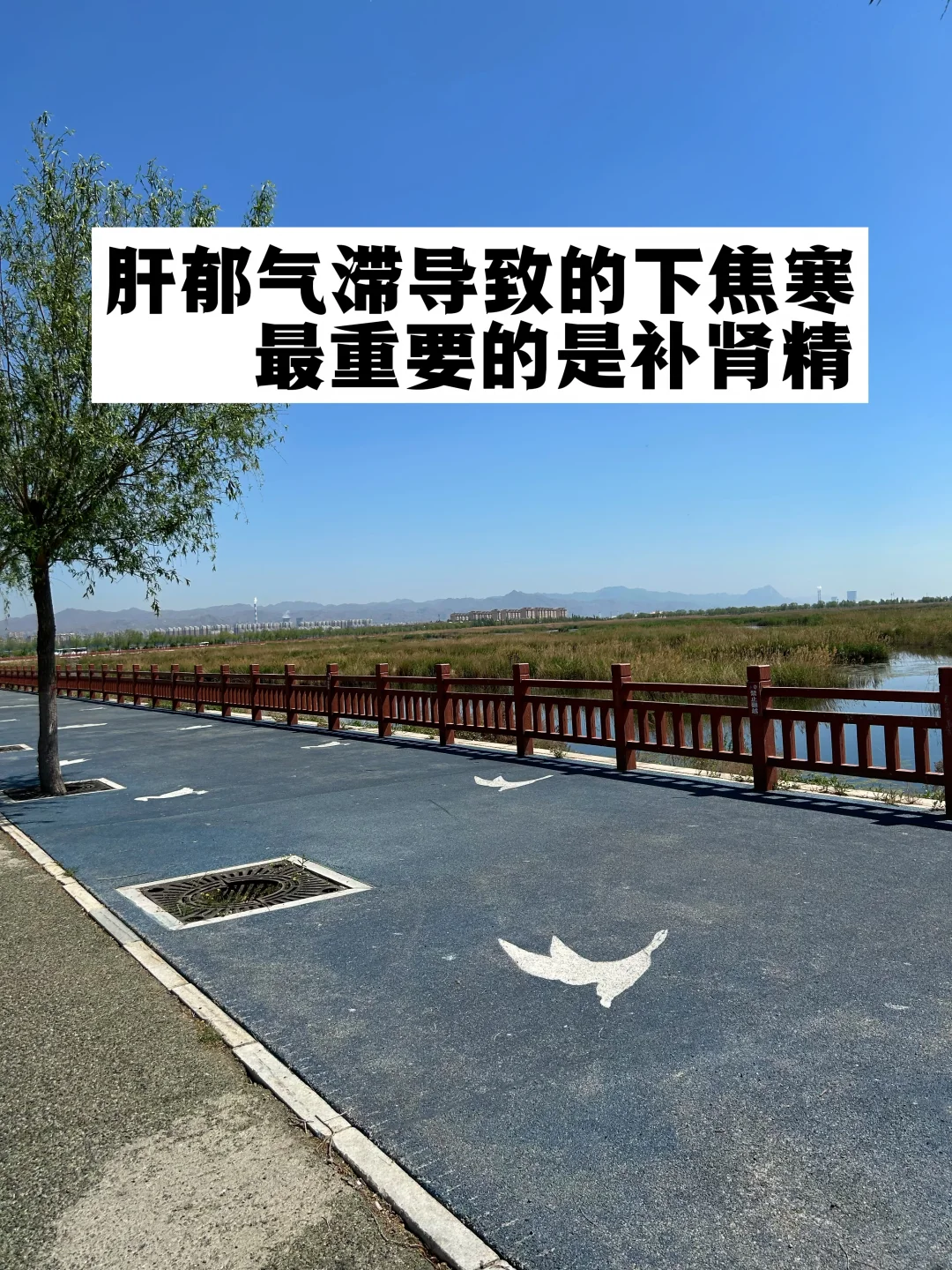 肝郁气滞导致的下焦寒，最重要的是补肾精.