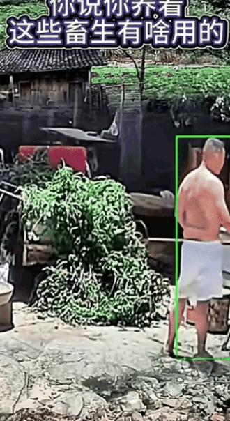 男子常年悉心饲养一条大狗，可今天不知道什么原因，狗狗就窜出来咬了男子。 养了