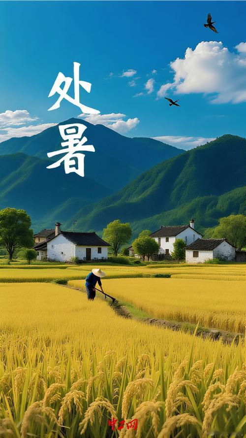 处暑8/23/七/十一/多云/早安处，止也，去也，除也，藏也。处暑，暑止，