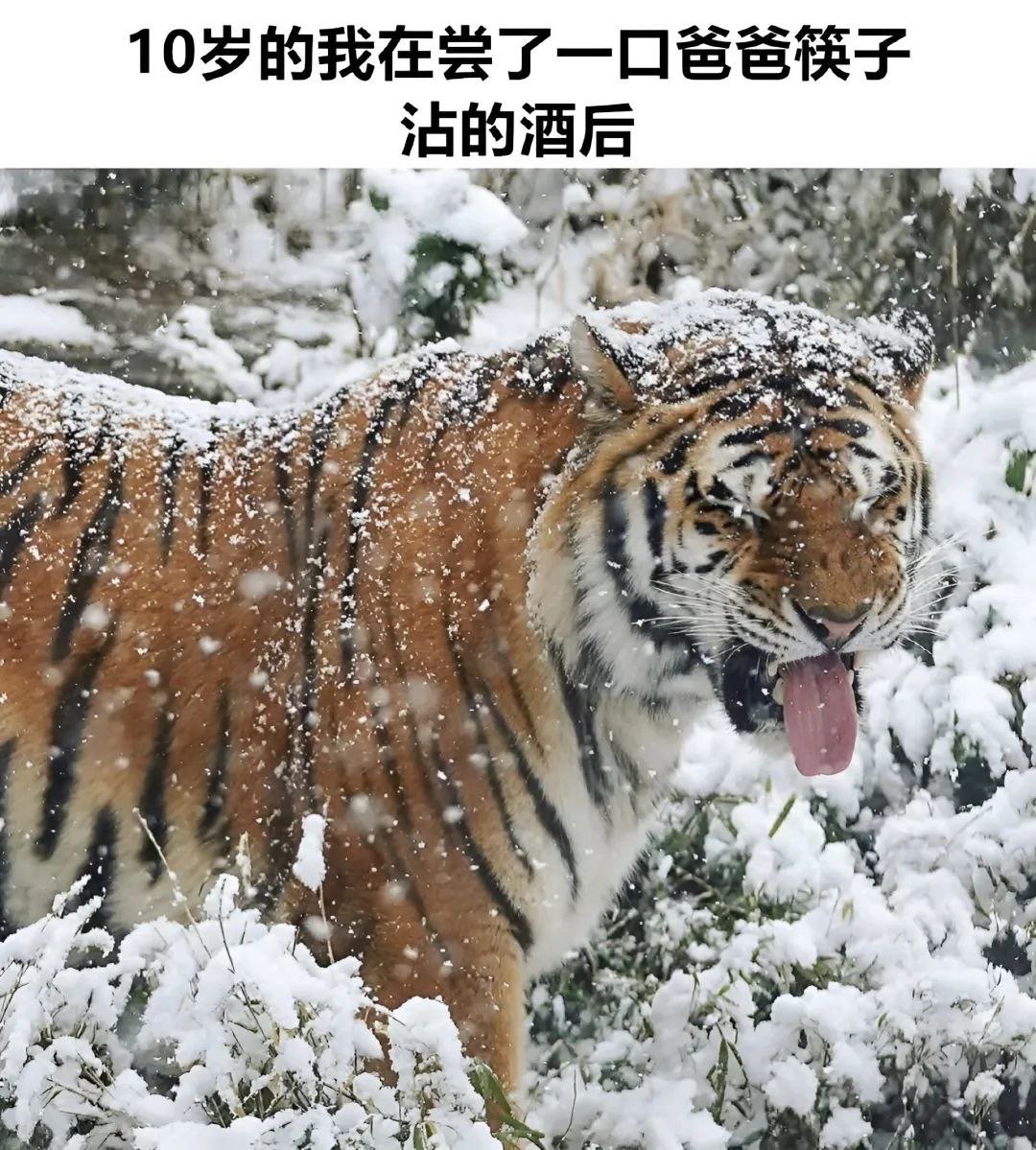呸呸呸​​​