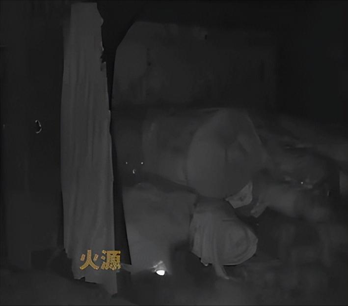 凌晨一点多，河北衡水一个院子里，堆在彩钢棚下面的布料堆冒出了火苗。一只狗对着那团