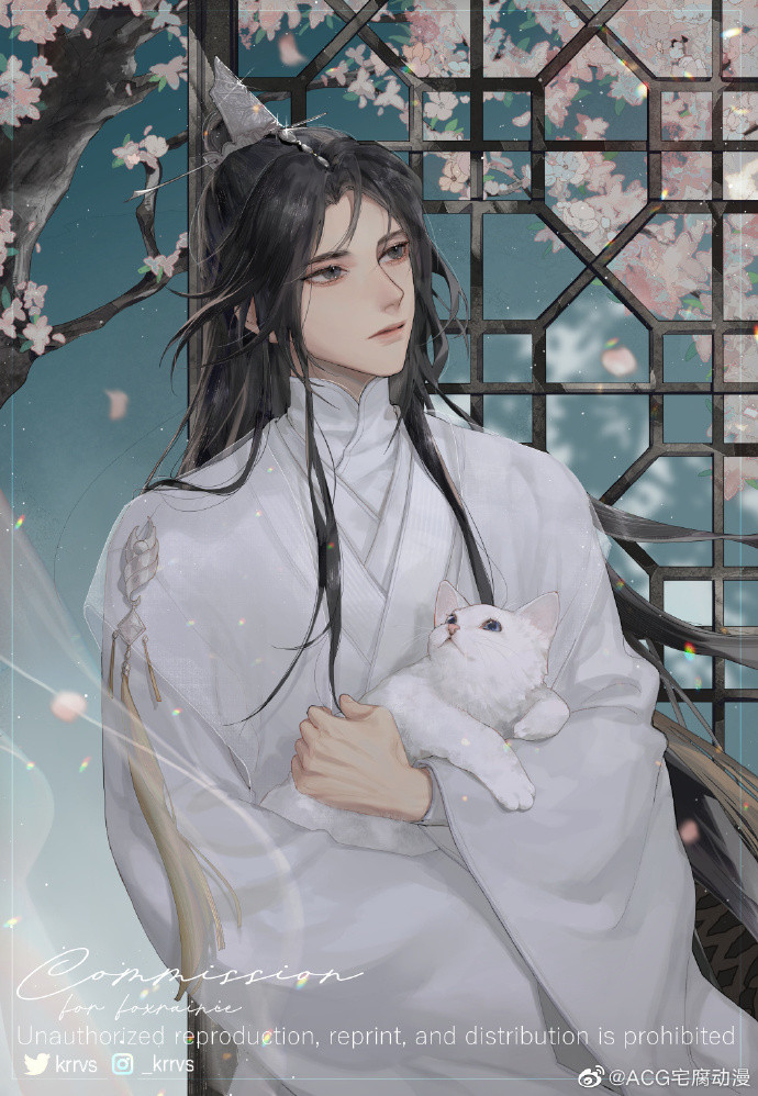 二哈与他的白猫师尊楚晚宁一见晚宁误终身，楚晚宁太美了🤩🤩x:kr