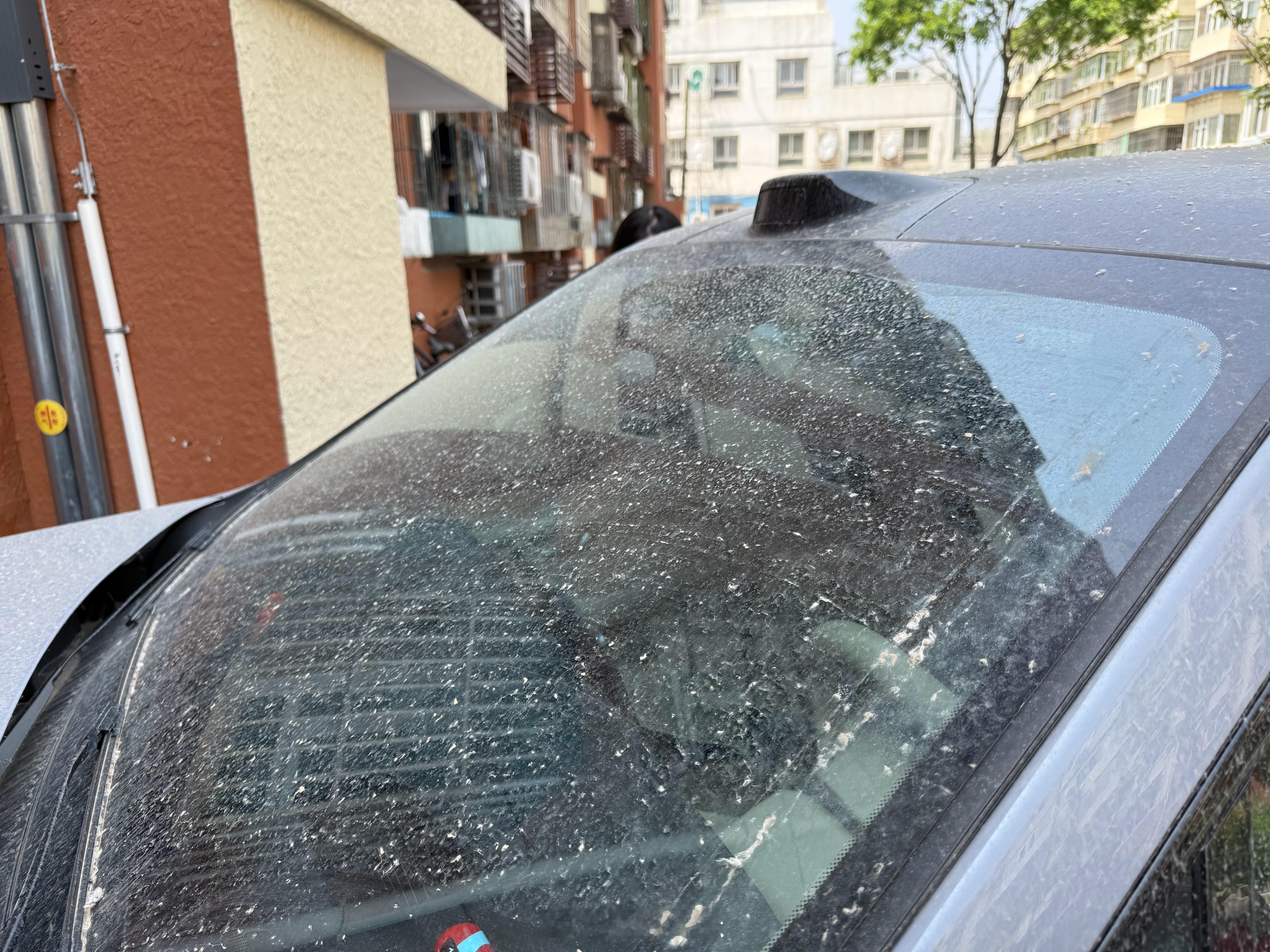 看下北京这个天气，五一前刚洗的车​​​