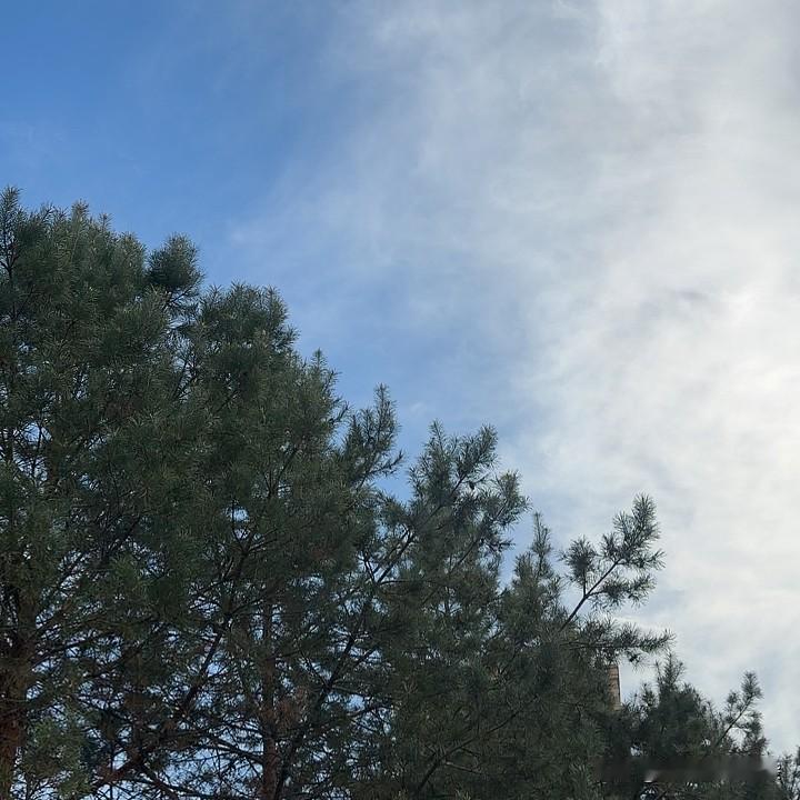 今天上午，我们商场几乎所有摊主，都凑在一起交头接耳，议论的全是那个女经理。商