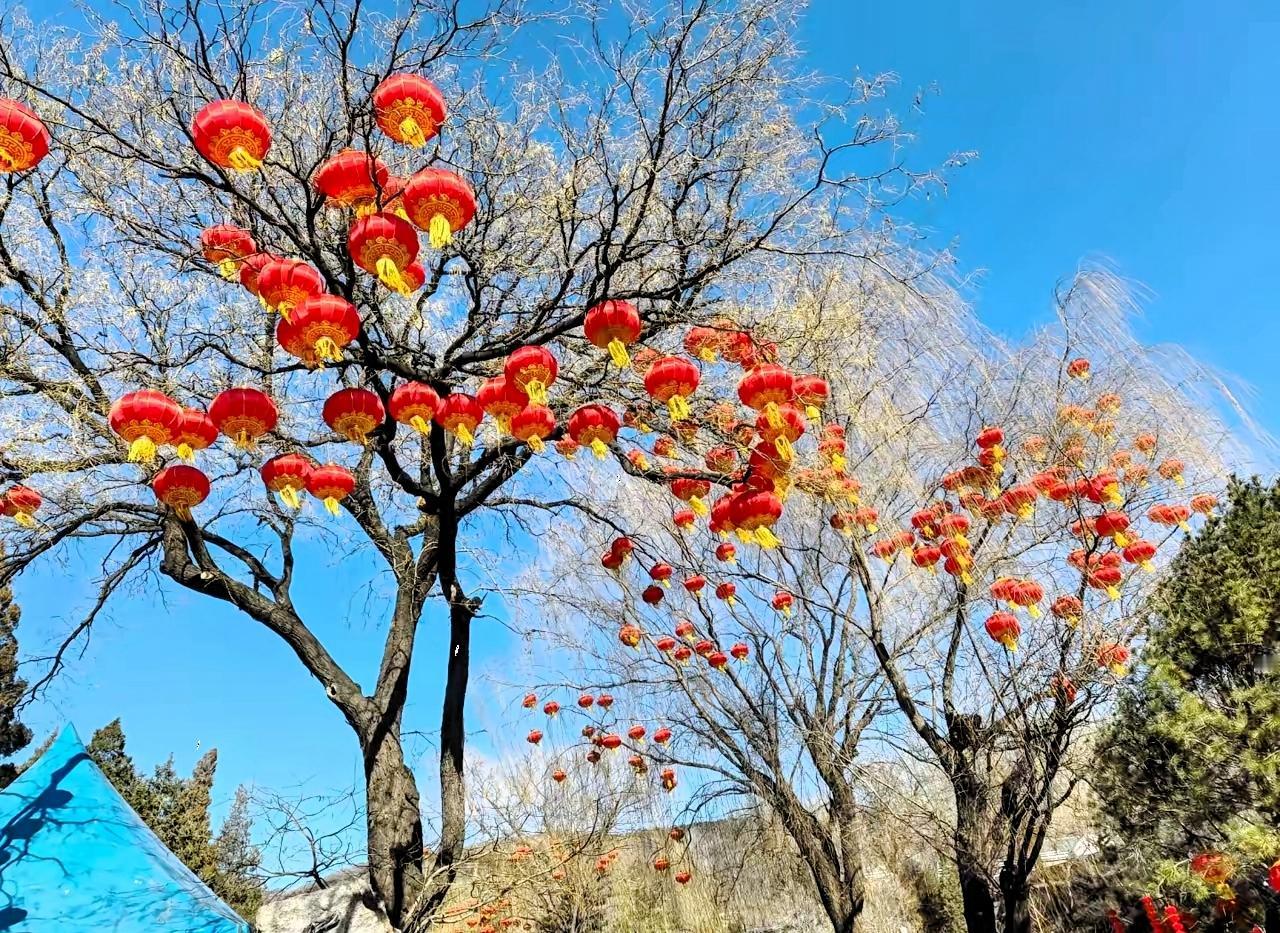 饭桌上遇到一个学佛的大哥，感觉他应该有神通[捂脸哭]。因为他一眼看