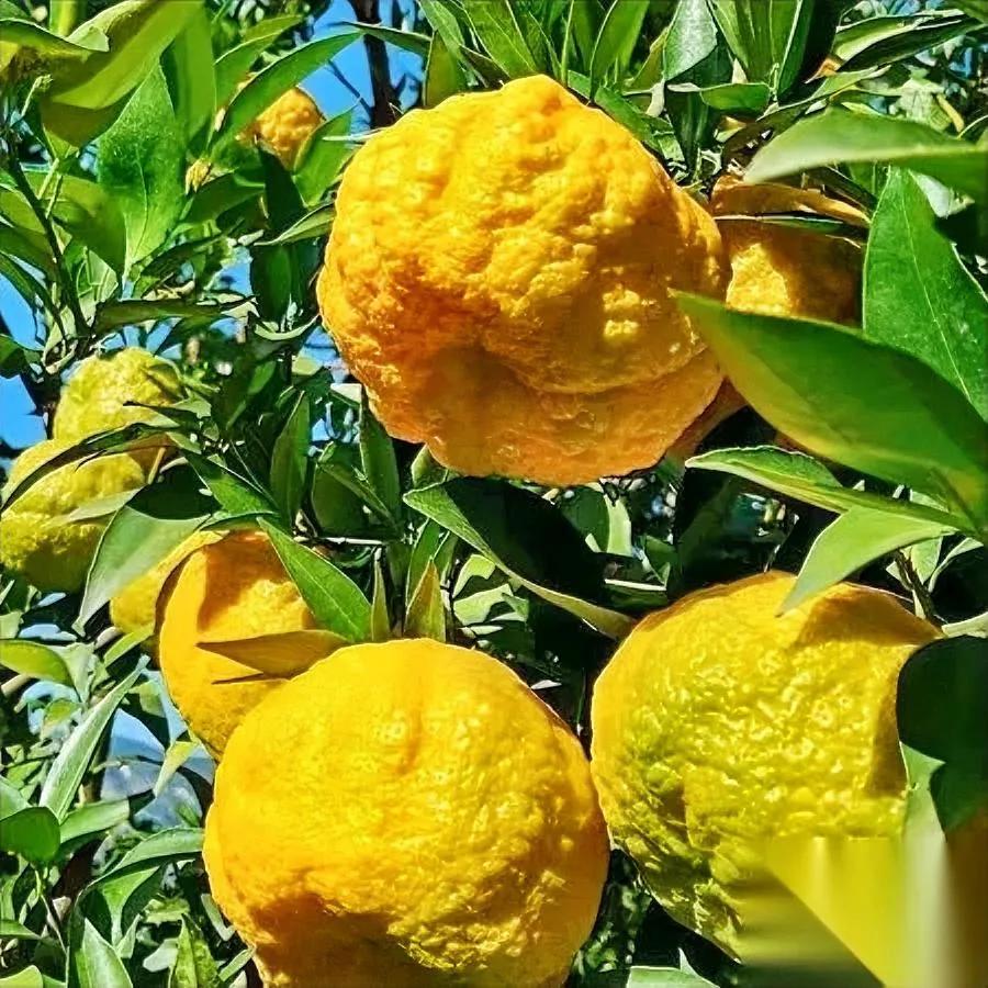 补课真的有用吗？先说结论27年教龄老师说了大实话一个智商正常、没坏毛病的