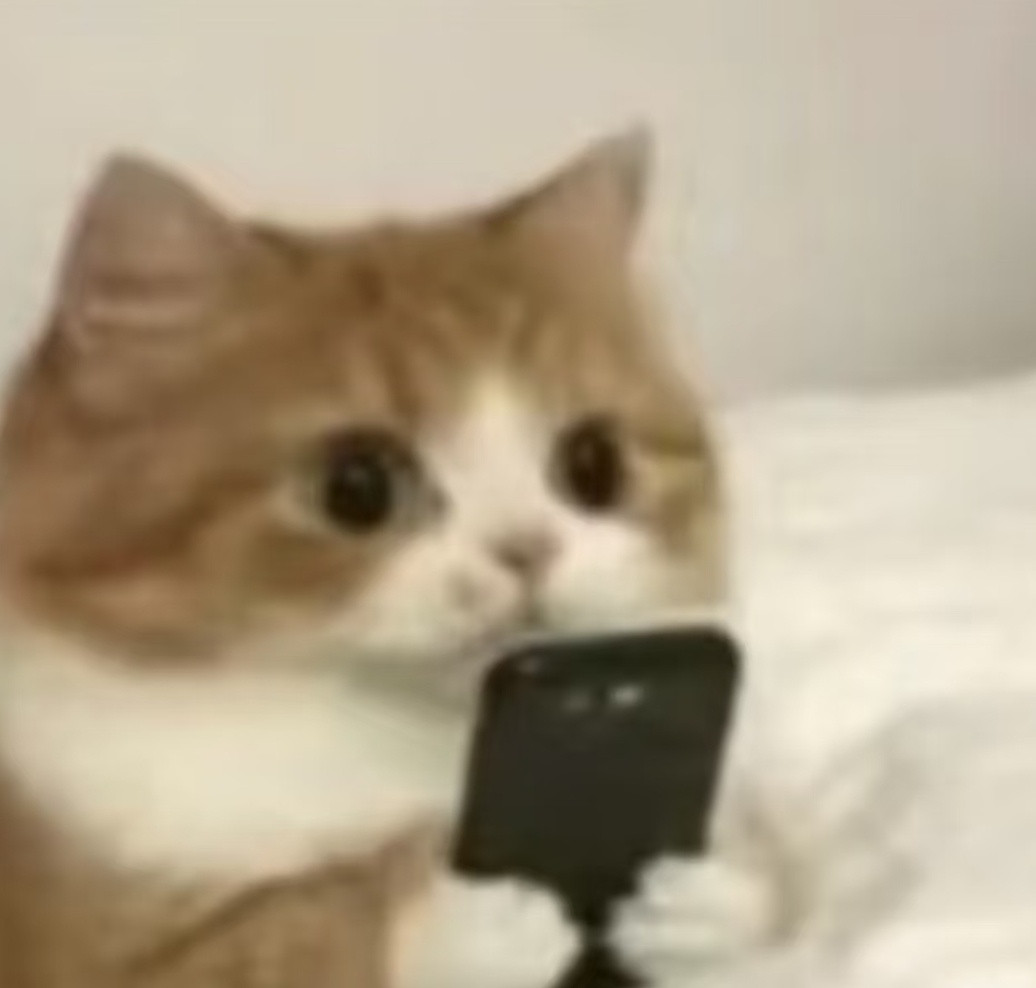 【为什么你的屏幕永远黑不下去？】当你用LCD屏手机熬夜修图时，是否疑惑过：为什么