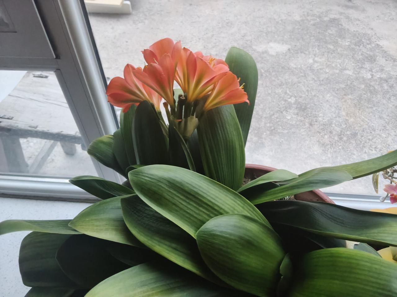 天道忌满，妻财子禄寿能全拥有吗？高考志愿报考导师张雪峰因病不幸去世，年仅4