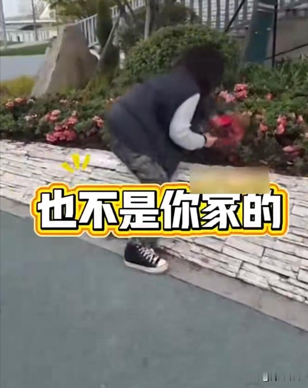 公园摘花被当场制止，大妈回怼这话听着真离谱4月10日江苏昆山，公园里闹起一