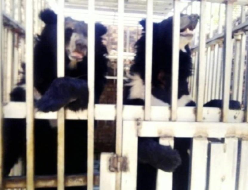 真是细思极恐，泰国海军陆战队进入一家柬埔寨赌场，空无一人的赌场深处，竟然发现了大