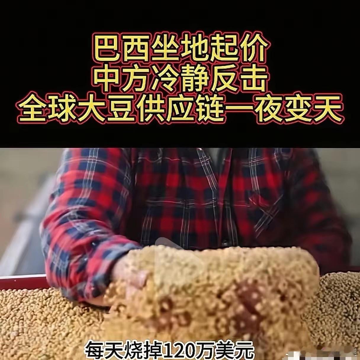 煮熟的鸭子飞了。巴西大豆握着中国70%以上的进口份额,竟趁势坐地起价。一旁的美