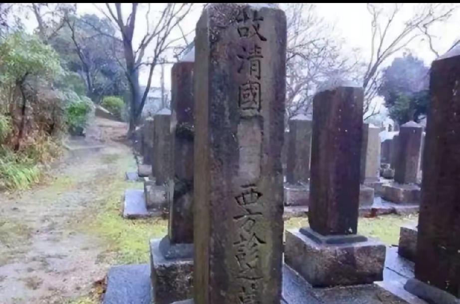 2003年，在日本留学的中国女学生杨海嘉，无意间路过日本"真田山陆军"的墓园时，