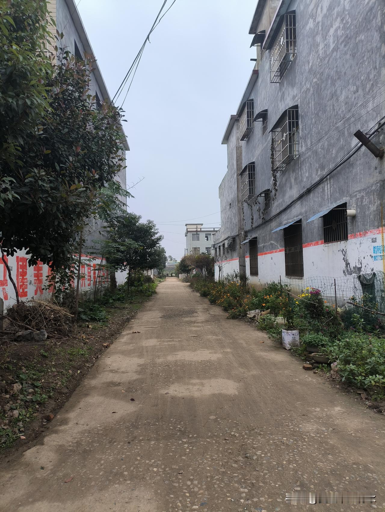 房子降价不过是开端，未来几年，房价会一降再降，到那时即便哭着卖房也无人问津。除了