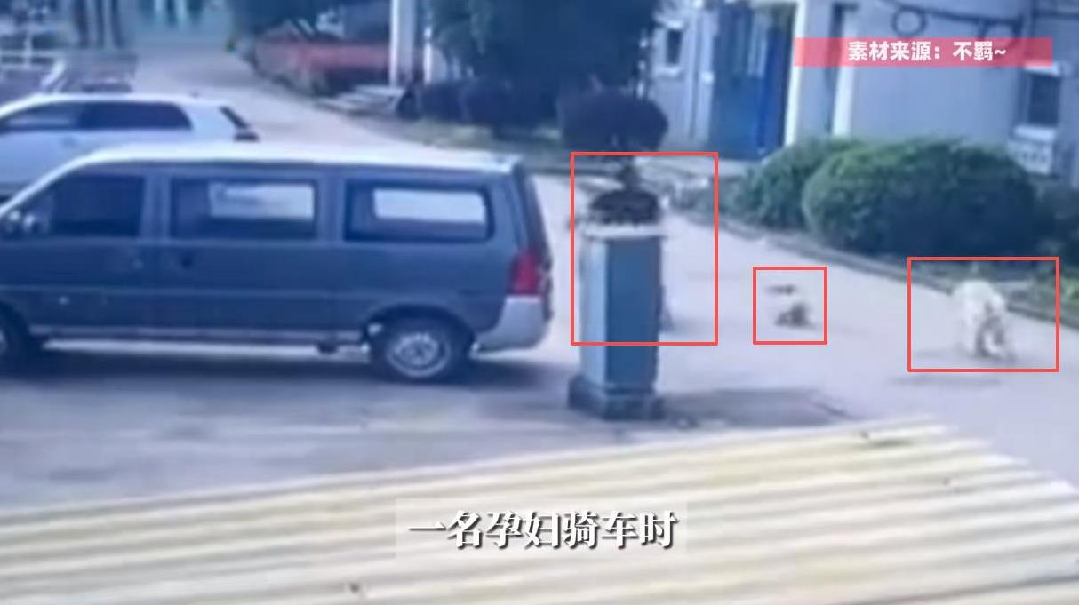 “必须严惩！”2025年6月，江苏常州，一位孕妇骑着电动车在小区里行驶时，突然被