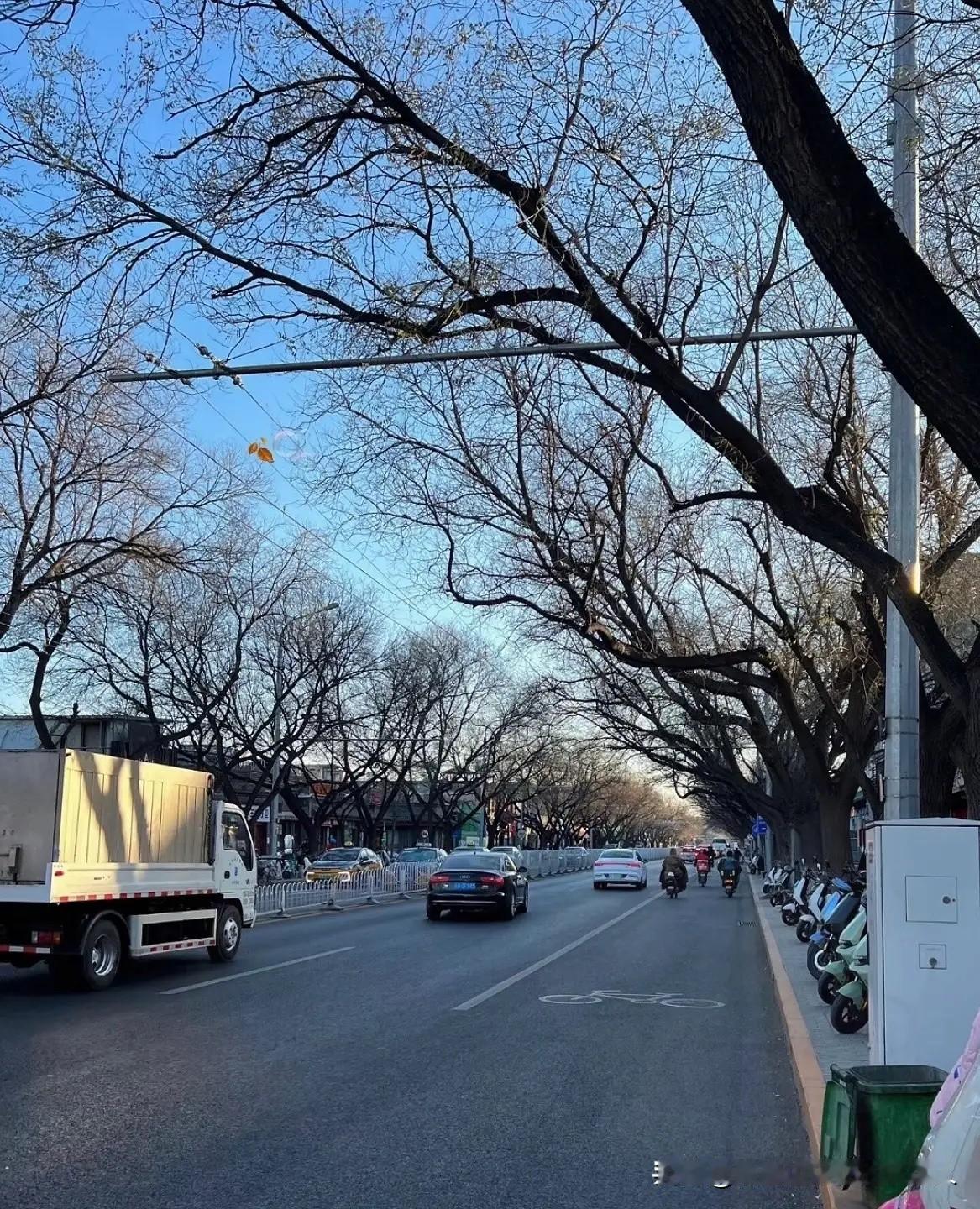 我主打一个听人劝！从现在到1月20号，除非有必须要办的事，否则我绝对不出门。毕竟