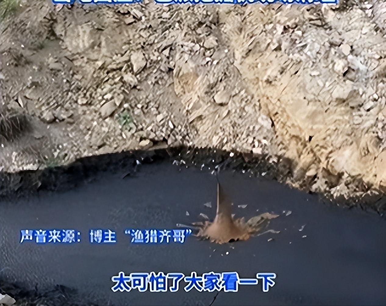 山东沂南那边出了个事，说有个山被人倒了好多黑污水和黑泥浆，树都死了，味儿特别大，