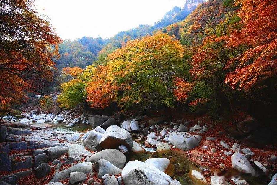 我就是巴中的，可以这样说，巴中根本没有支撑产业说旅游吧，只有一个光雾山，说工业