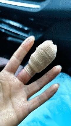 我真服了，千万别让你家狗看见你受伤包扎的手。在它眼里，那根本不是手。那是刚出