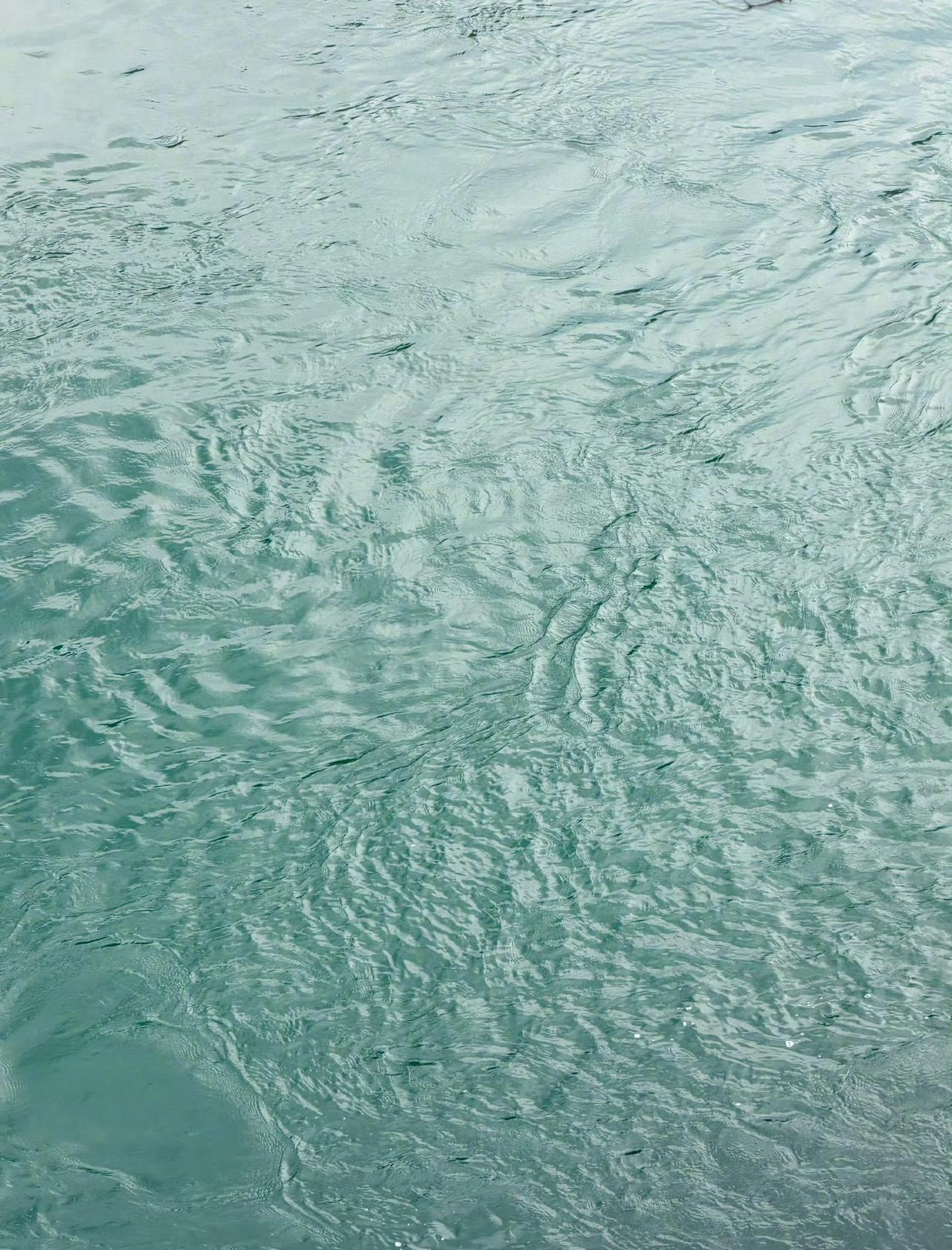 脆脆的水现在的网友好有才，总能找到非常奇特的形容[捂脸哭]​​​