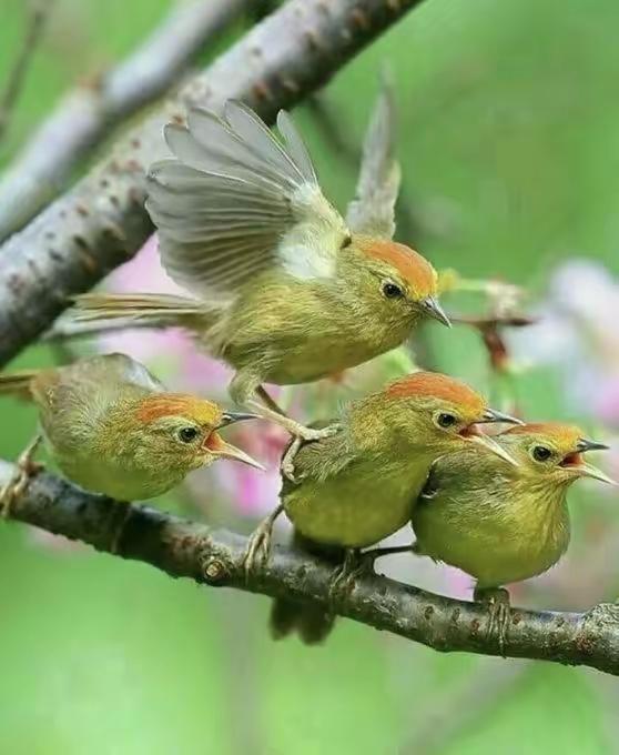 伴侣之间最好的相处，从来不是捆绑！第一，懂得尊重，不控制不强迫。不强行改