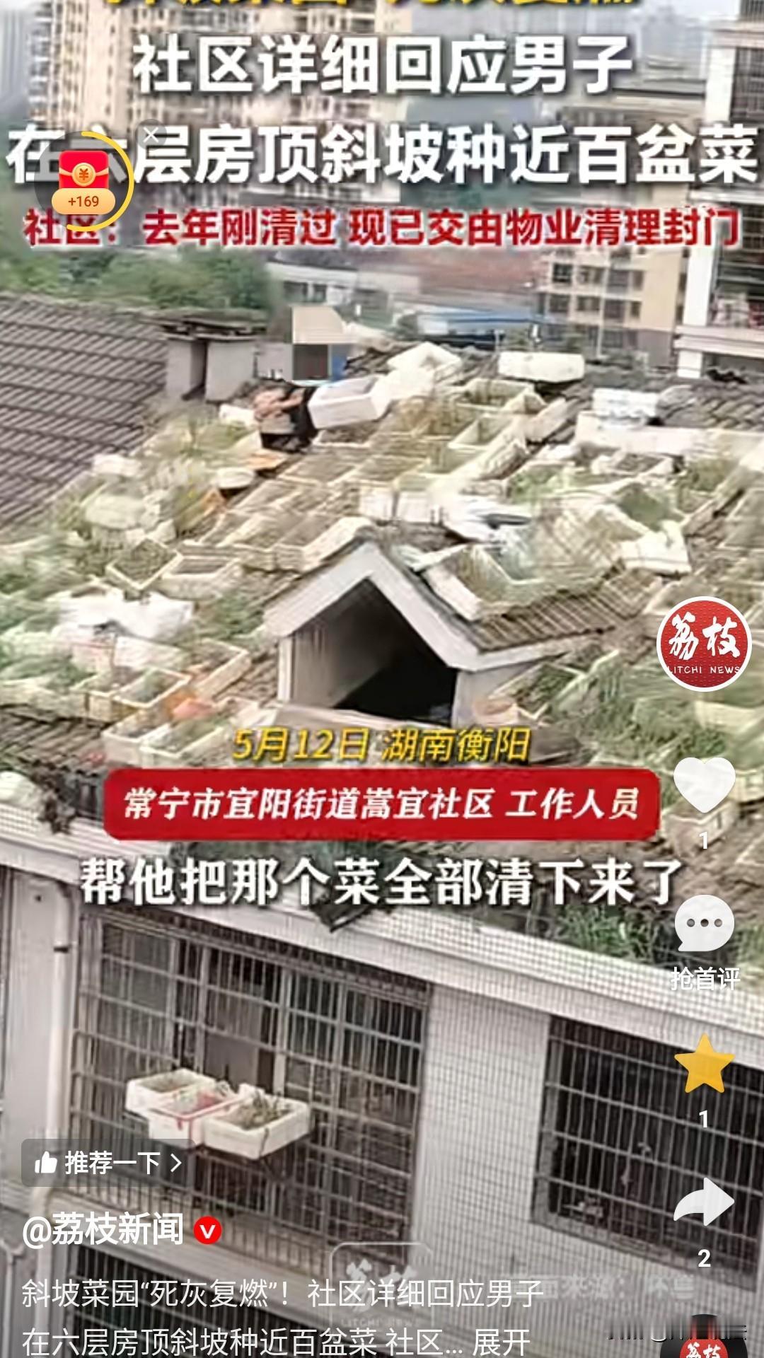 大爷的这波操作真的绝了，湖南常宁，一大爷，在六楼楼顶斜坡种菜，物业帮他去年清理完