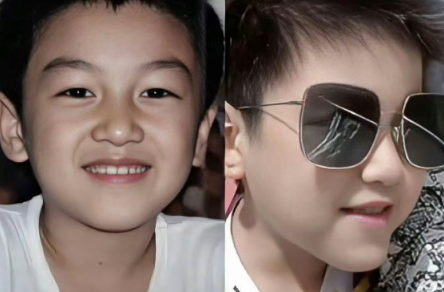 陈晓可能会再谈恋爱但可能不会再生孩子了因为小星星真的和他一摸一样，完全继承了