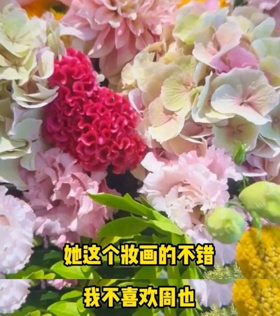 王诗龄这次真是童年滤镜碎一地。她从小被富养，两岁生日就有圈中名人到场，上着每年二