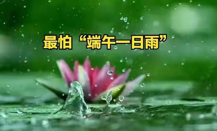 明日端午节，老人说最怕“端午一日雨”，端午节下雨有啥预兆？明天就是端午节，