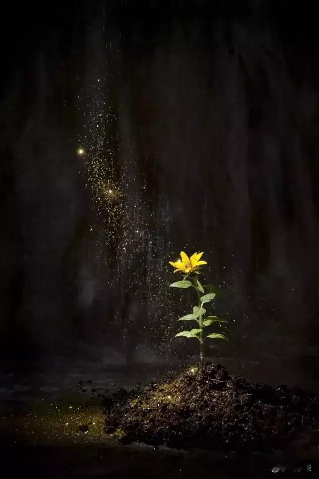 负债逾期以后，就不要想着先还款，因为还得都是利息和罚息！先努力挣钱把钱存起来