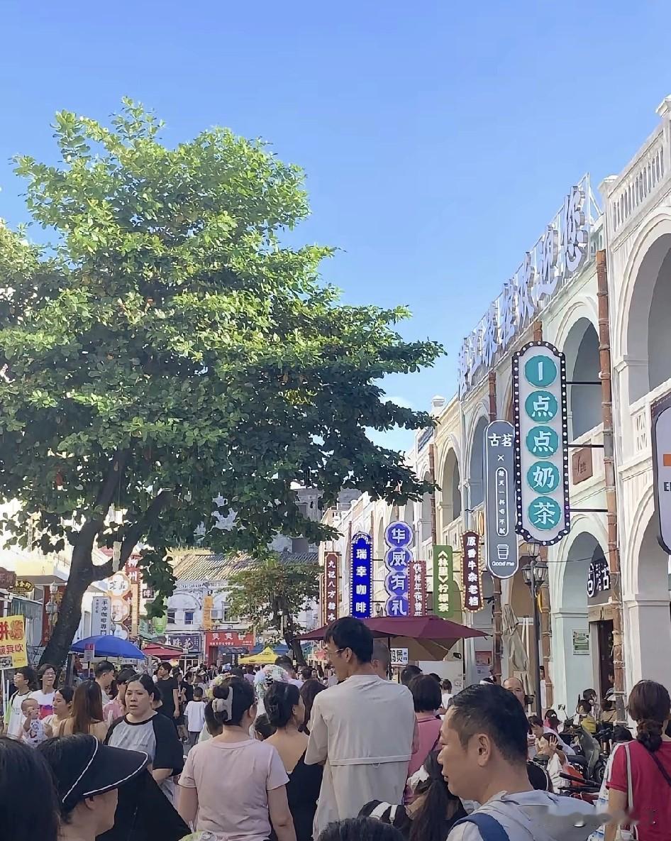 强台风麦德姆肆虐湛江，除了破坏湛江的树木、庄稼农作物、养殖业等，还有不少车辆被倒