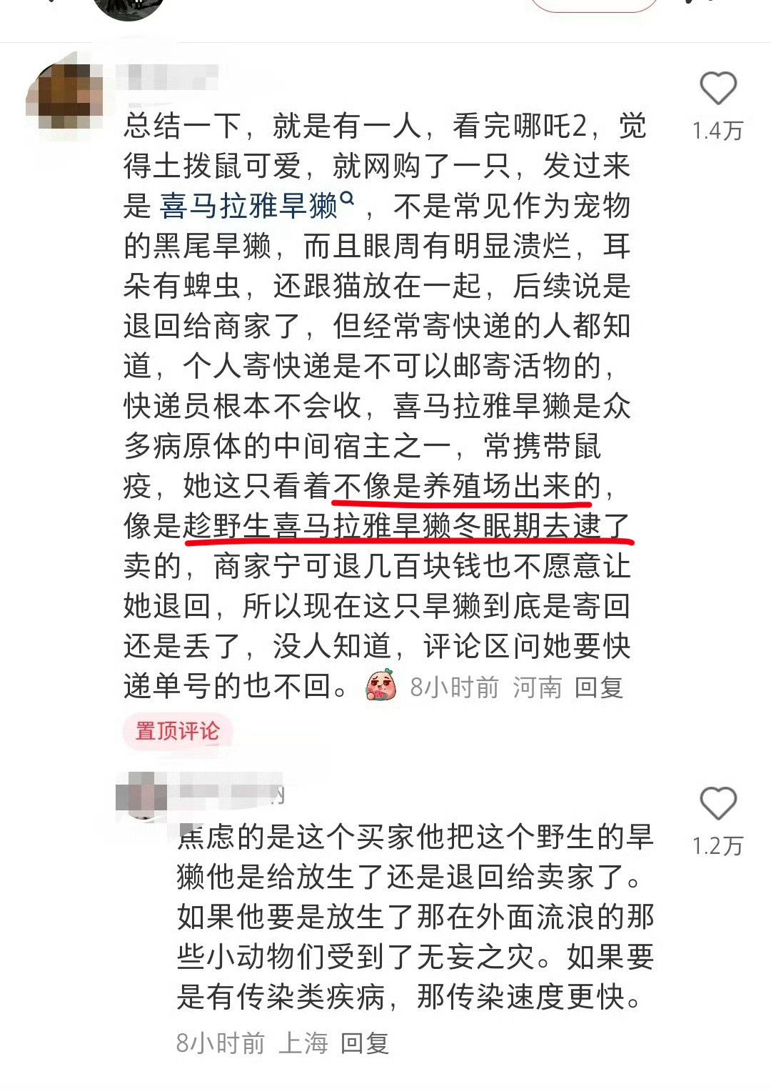 上海土拨鼠离谱......真有人在网上买土拨鼠，还买到了疑似喜马拉雅旱獭。怎么