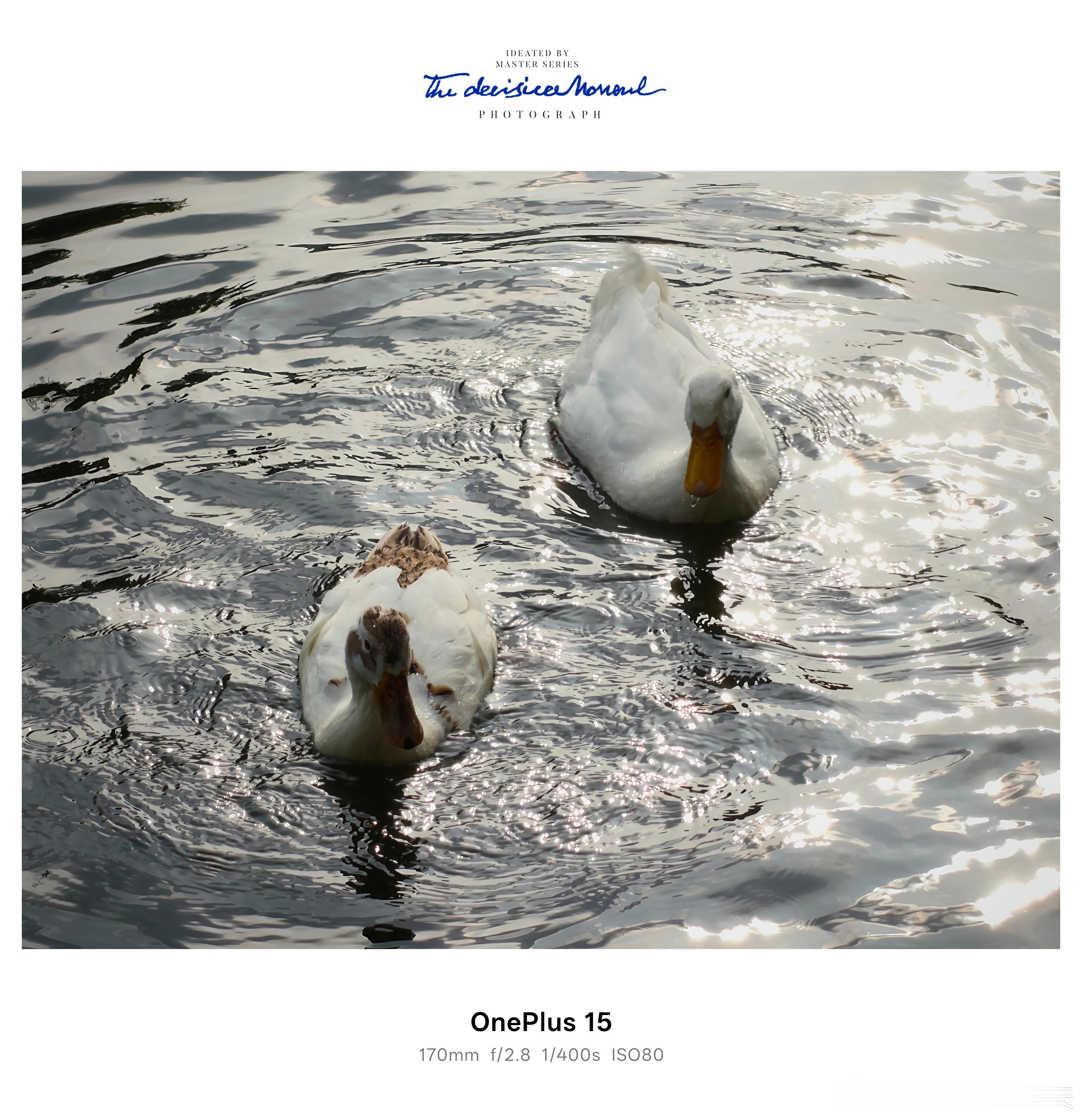 一加15这颗长焦在裁剪后的细节也是非常不错的，即使稍有点逆光，也可以算出来很好的