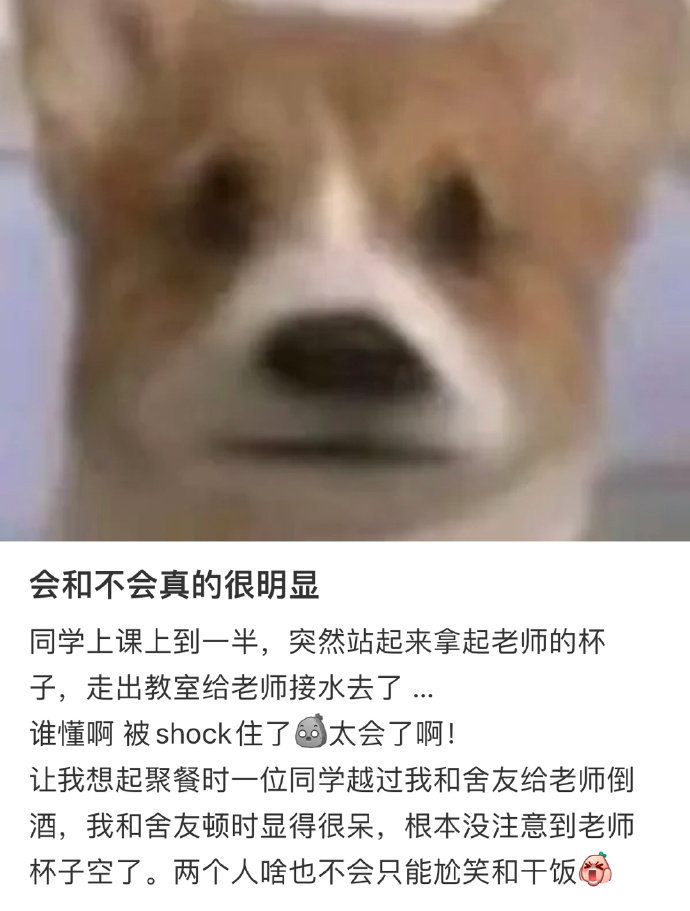 会和不会真的很明显！！！