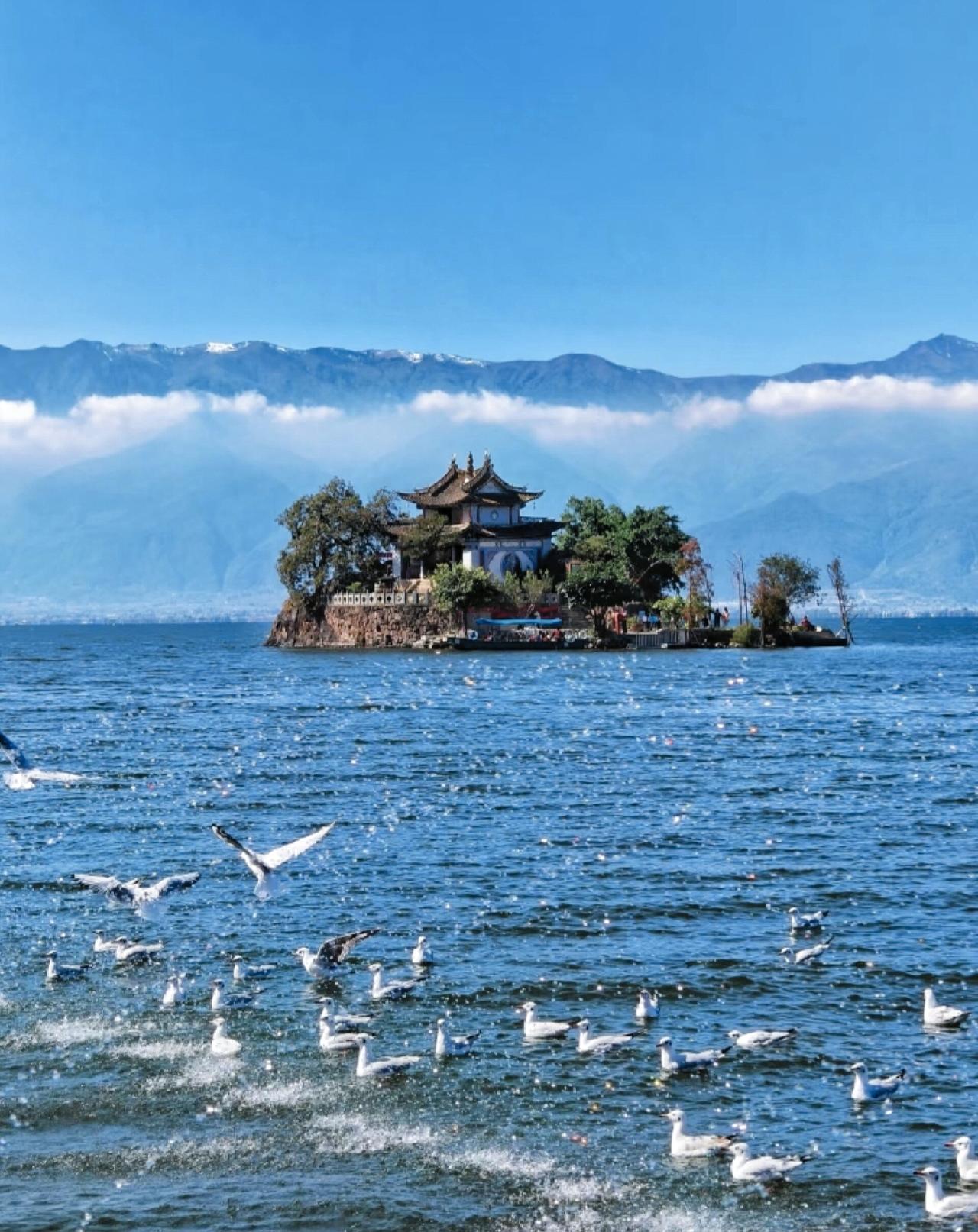 走遍云南四大网红城市，终于发现离谱真相！老外为啥几乎不来？足足在云南深度游