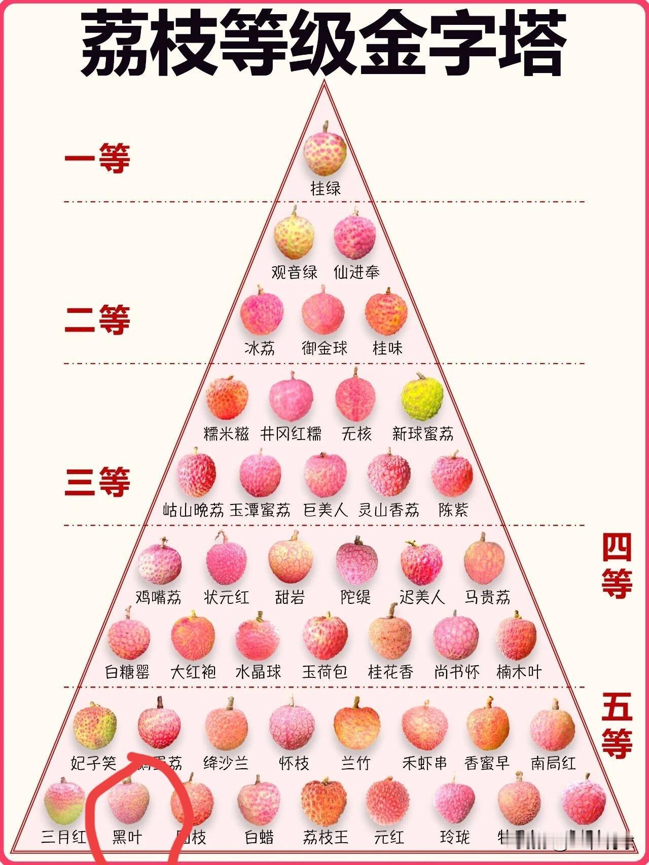 把黑叶离职划分为最差一等荔枝的人绝对没有亲自在果园是的考察过的，也不懂品尝荔枝，