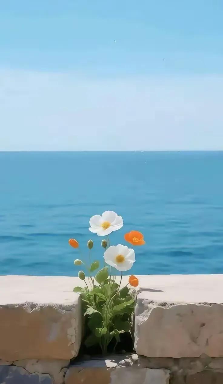 一位睡眠专家说：如果你的睡眠不太好，或者很难入睡，问题不在于你不够累，也不是你不