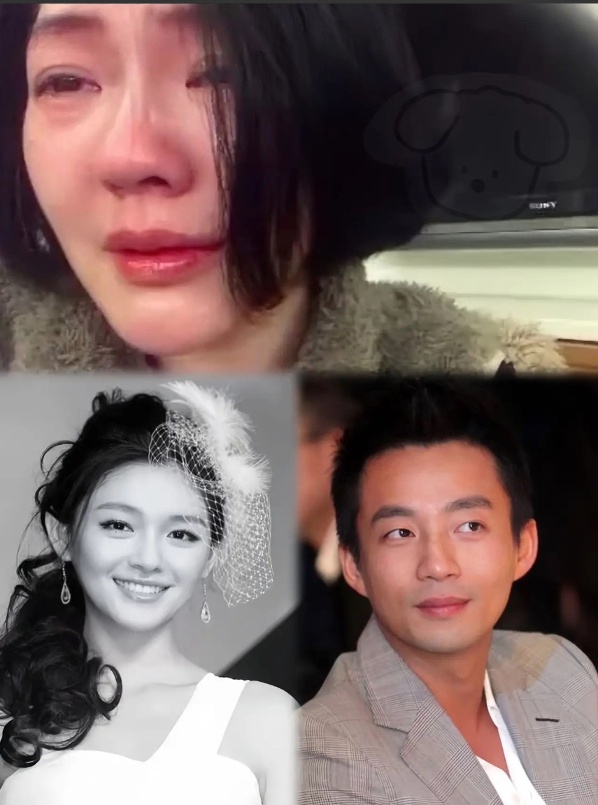 深夜时分，突然传来一个超级劲爆的消息，简直就像炸雷一样！汪小菲发出的律师函，一下
