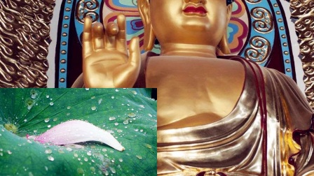 20141001---王浩梳:沸腾激动的心灵